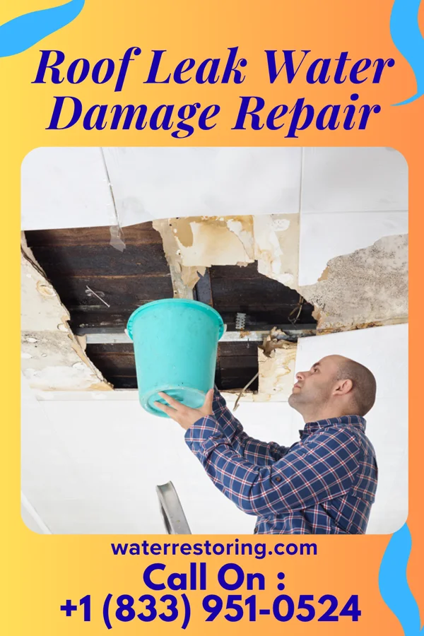 Roof Leak Water Damage Repair in Oahe Acres, SD
