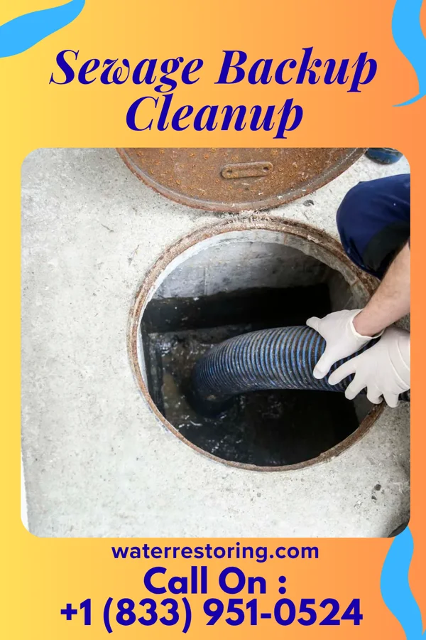 Sewage Backup Cleanup in Oahe Acres, SD